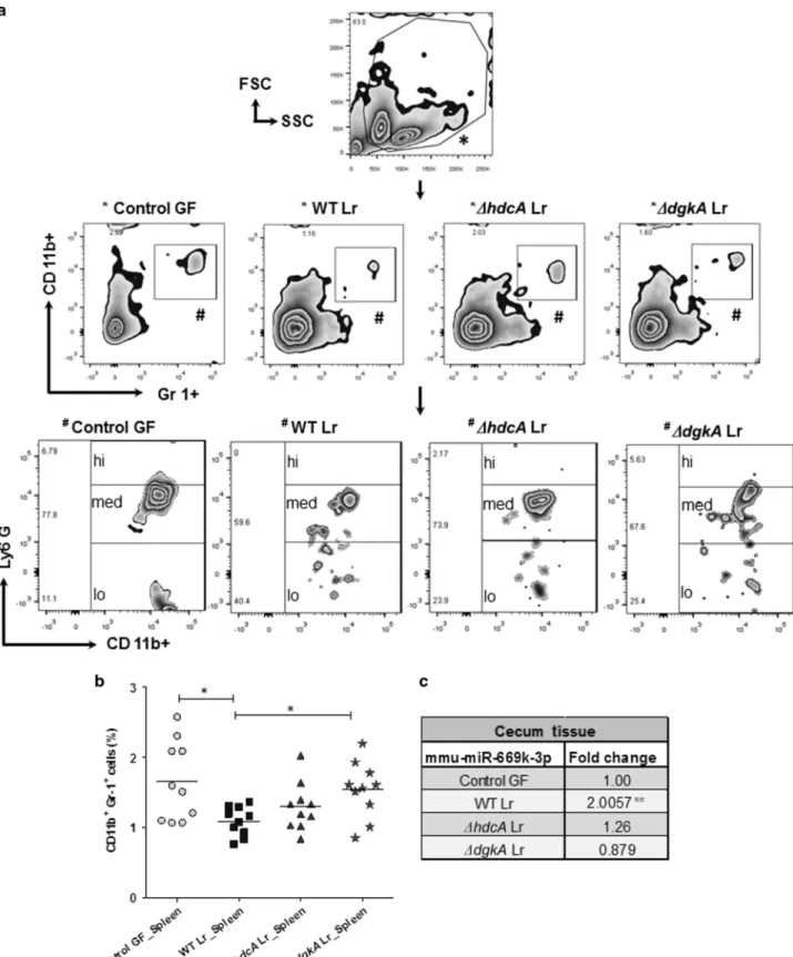 Figure 6 Lactobacillus reuteri colonization reduces splenic immature myeloid cells (IMCs) with increased cecal mmu-miR-669k-3p