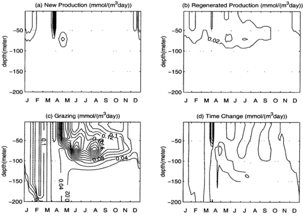 Figure  2-7:  The depth  and  time variations  of the  (a) new  production,  (b)  regenerated production,  (c)  zooplankton  grazing  and  (d)  time  change  of  phytoplankton.