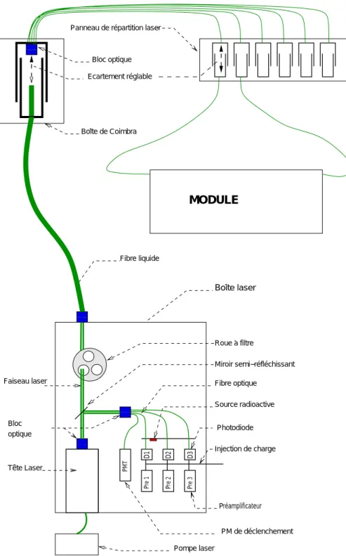 Fig. 3.2 – Trajet de la lumi` ere de la boˆıte laser jusqu’aux modules