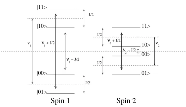 Fig. 2.5 – Lev´ee de la d´eg´en´erescence due au couplage faible dans un syst`eme de deux spins : Les fl`eches en gras indiquent les deux transitions possibles pour chaque spin correspondant `a deux fr´equences de pr´ecession distinctes.