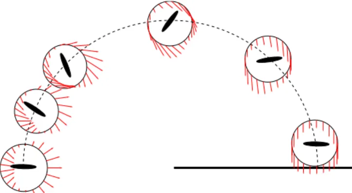 FIG. 14 (color online). The direction (and the normalized magnitude) of the force for  0 ¼ 0, = 8, = 4, = 2, 3 = 4 and   