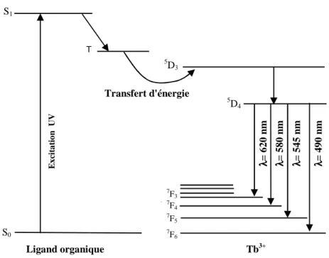 Figure I-1 : Schéma du transfert d'énergie dans le système  Tb 3+ -complexe.