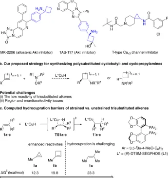 Figure  2.  Regioselectivity  of  the  CuH-catalyzed  hydroamina- hydroamina-tion using different phenyl- substituted alkenes