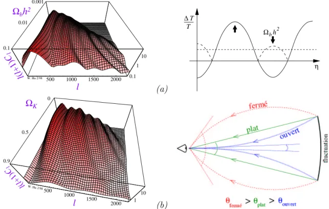 Fig. 1.12: Influence des paramètres Ω b h 2 (a) et Ω κ (b) sur le spectre de puissance des fluc- fluc-tuations de température