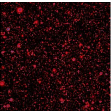 Fig. 2.9: Carte simul´ee de param`etre y sur une portion du ciel de taille 12.5 o × 12.5 o pour une cosmologie standard (d’apr`es (Delabrouille et al., 2002b)).