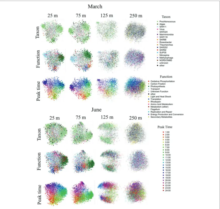 FIGURE 5 |  NMDS clustering of genes based on distance matrix of transcript abundance patterns over time
