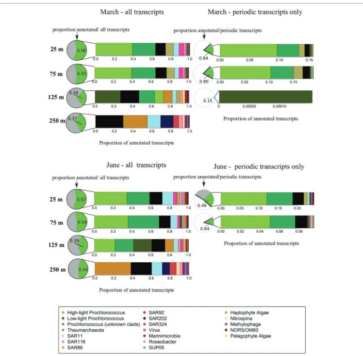 FIGURE 4 |  Taxonomic origins of gene transcripts. This figure illustrates taxonomic compositions of the meta-transcriptomes