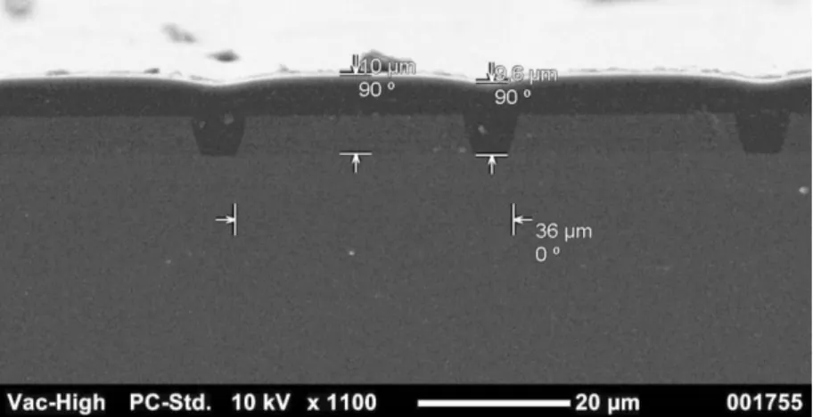Figure 19:  Cross sectional SEM image of H = 5 µm , T = 8 µm , W = 32 µm, S = 2 µm. 