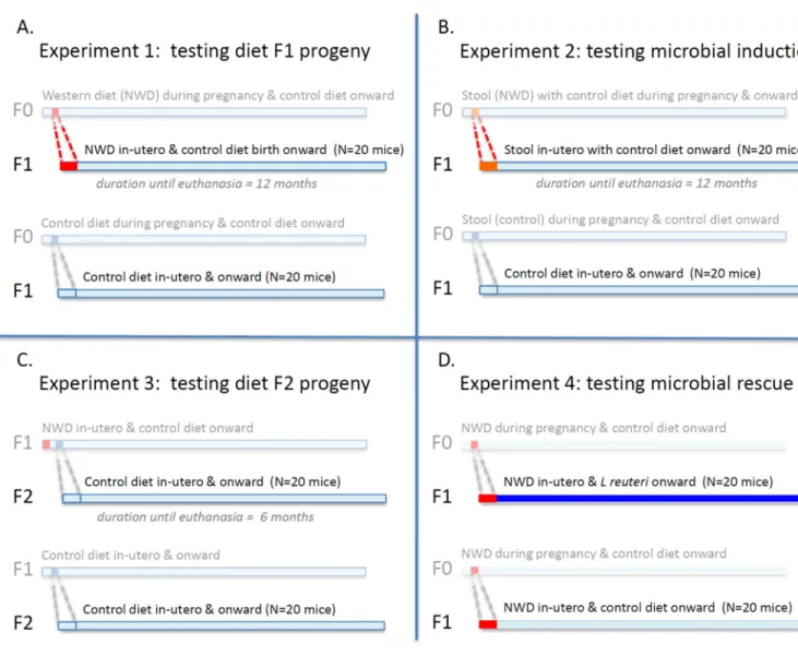 Figure 1. Overview of experimental design