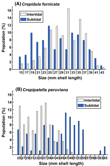 Fig. 7   Size distributions for intertidal and subtidal individuals of  a  Crepidula fornicata collected from Bissel Cove in Narragansett  Bay, RI, USA, and b  Crepipatella peruviana collected from Puerto  Montt, Chile