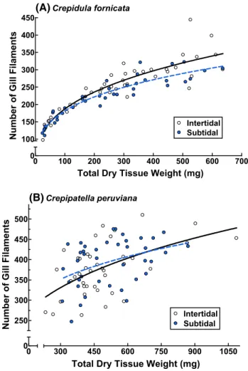 Fig. 4   Influence of habitat on the relationship between the number  of gill filaments and total dry weight for a  Crepidula fornicata and  b Crepipatella peruviana