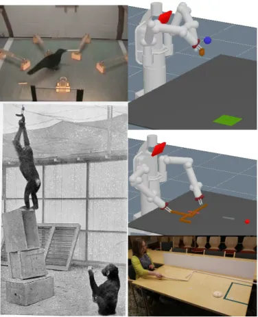 Fig. 1. From left to right: A crow solving a sequential hook problem [33], classical intelligence test with apes [12], our solver using a stick to hit a flying blue ball to get it into the green area, using a hook to get a second hook to reach for the red 