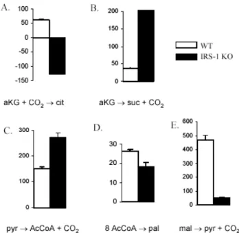 Fig. 6.  Estimated fluxes for selected metabolic reactions in WT and IRS-1 KO brown adipocytes