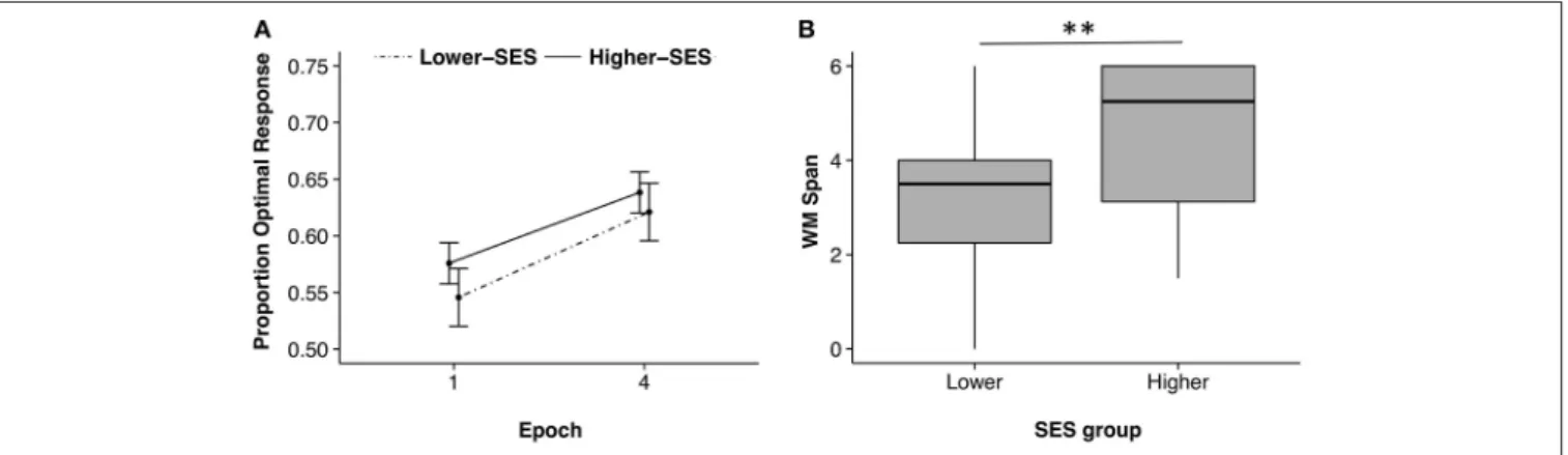 FIGURE 1 | Probabilistic classification and working memory performances for lower-SES and higher-SES groups