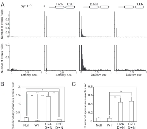 Fig. 3. Latency analyses of nerve-evoked synaptic currents. (A) Latencies of synaptic currents within 1 s following nerve stimulation were measured and plotted for each genotype as indicated in Fig