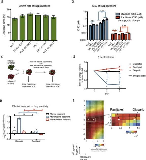 Figure 5.  Experimental validation of ‘symmetric’ and ‘asymmetric’ treatments on E μ -myc tumor cells