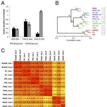 Fig. 3. hPSC-derived insulin-expressing cells resemble human fetal β cells. (A) Glucose stimulated insulin secretion of dispersed cells