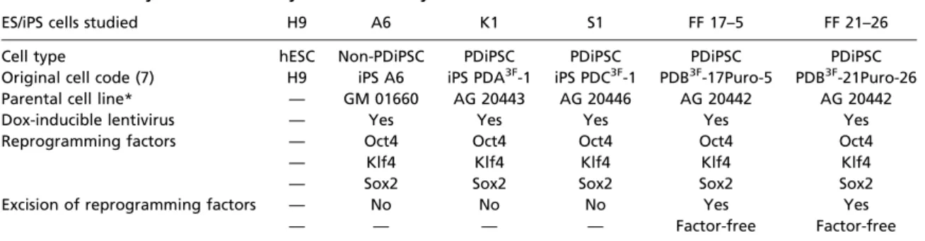 Fig. 1. PD patient-derived DA neurons survive after transplantation into the adult striatum of unlesioned rats