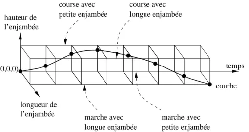 Fig. 3.19: Courbe de positions denie dans l'espace de positions, pour un cycle de locomotion humaine.
