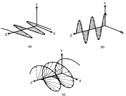 Figure  3-11:  Circular Polarized Light.  (a)  Light polarized with  the E  field  in the  Y-direction.