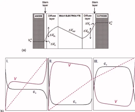 Figure 1. 共 Color online 兲 共 a 兲 Schematic representation of the electrostatic potential profile in the fuel cell membrane