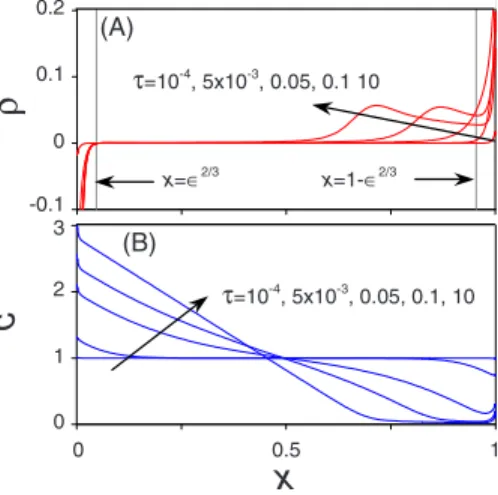 FIG. 10. 共 Color online 兲 Time evolution of 共 a 兲 the space-charge density distribution and 共 b 兲 the concentration profiles, vertical lines in 共 a 兲 indicate the theoretical inner-outer region interfaces;
