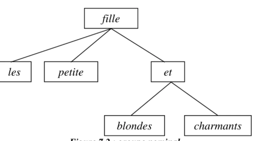 Figure 7.2 : groupe nominal
