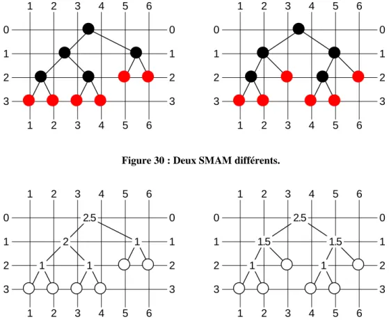 Figure 30 : Deux SMAM différents.