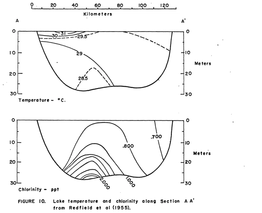 FIGURE  10.  Lake  temperature and  chlorinity  along  Section  A A' from  Redfield  et  al  (1955)