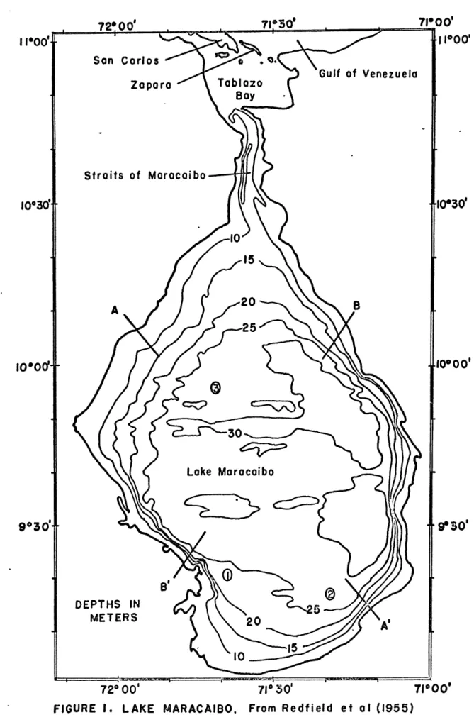 FIGURE  I.  LAKE  MARACAIBO.  From  Redfield  et  al  (1955)