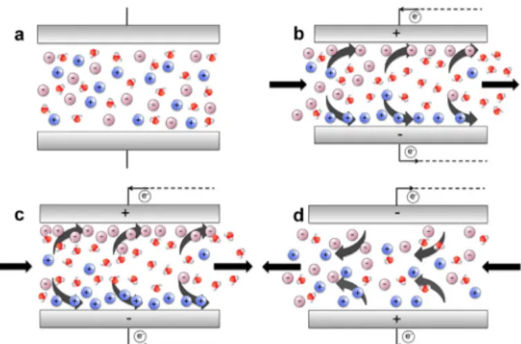 Figure 1. Schematic of the CDI process. (a) Feed water in CDI cell before voltage is applied
