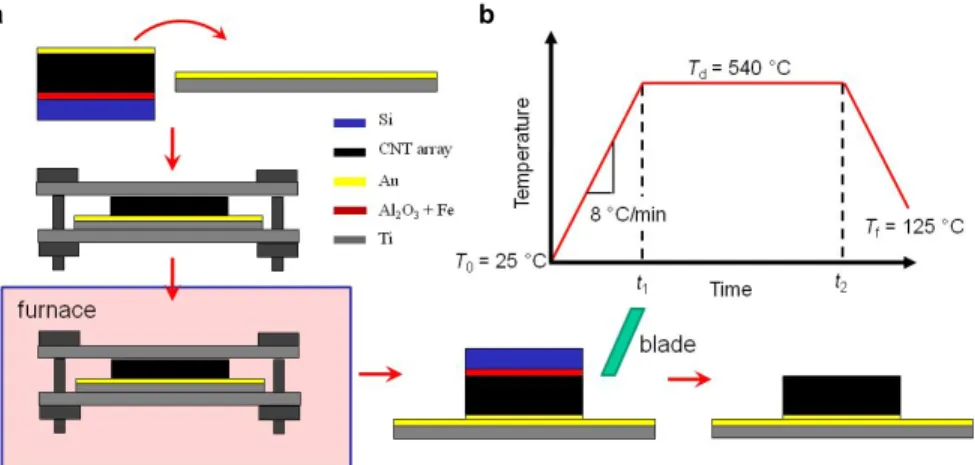 Figure 2. Diagram of the CNT carpet electrode fabrication process.  