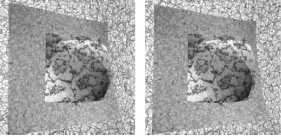 Fig. 1.4: Couple d'images de synthese utilise pour comparer les mesures de correlation.