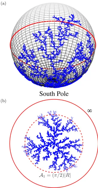 Fig. 2: DLA clusters on the elliptic (left) and the hyper- hyper-bolic (right) geometries