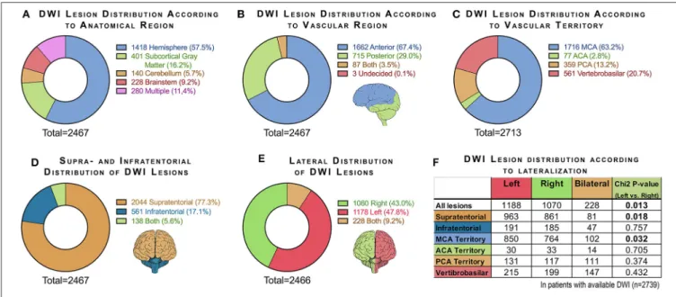 FIGURE 3 | Charts summarizing DWI lesion distribution according to (A) anatomical region, (B) vascular region, (C) vascular territory, (D) supratentorial and infratentorial location, and (E) lateralization