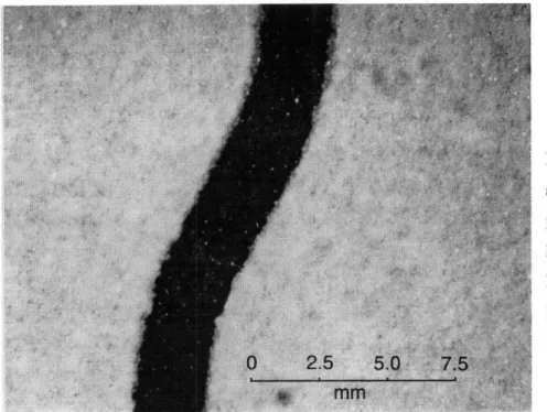 Figure  2.4.5  Detail of sheet printed with particles 20 gim and less.  Johnson Matthey Powder