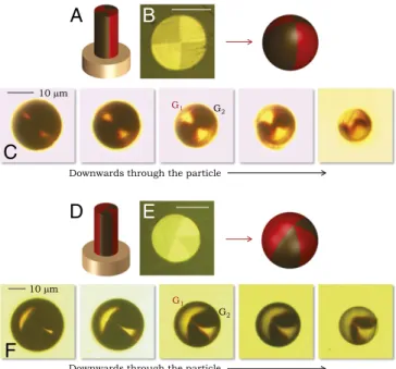 Fig. 4. Control over the azimuthal structure. (A – C) Beach ball particle with fourfold discrete rotational symmetry