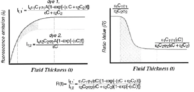 Figure  2.2:  Graph shows the intensity of the fluorescent  emission of dye  1 and  2, as well  as the  ratio between them