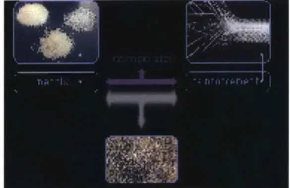 figure  13  >>  matrix  and  reinforcement  of  a poly- poly-mer  composite