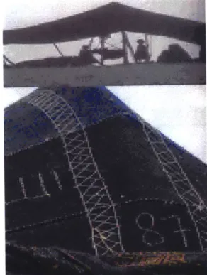 figure  14  The  Black  Hat