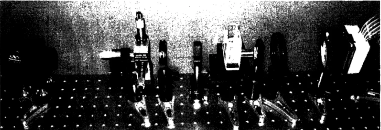 Figure  5: The  in-line  holography  setup.  From  left to right:  laser  diode,  spacial filter,  pupil,  collimating  lens, sample,  1Ox objective,  pupil,  collimating  lens.