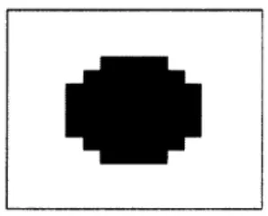 Figure  9:  This  shape  was  cross correlated  with the reconstructed  planes  in order to enhance  the  intensity  of  algae  shaped  images  in each  plane.