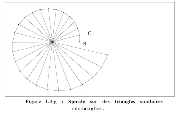 Figure I.4-g : Spirale sur des triangles similaires r e c t a n g l e s .