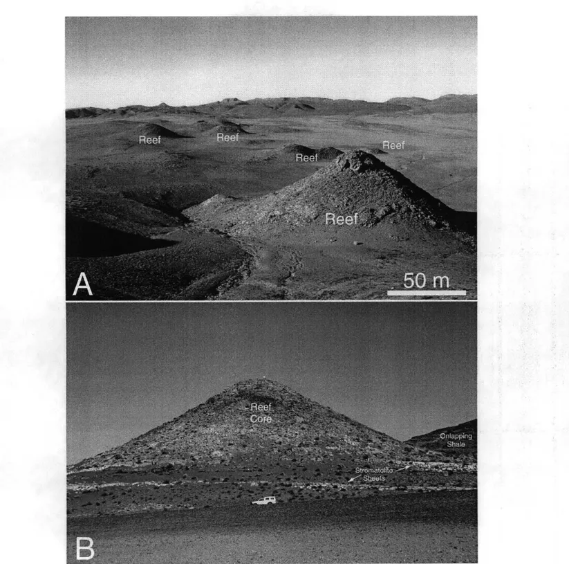 Figure  1-4:  Thrombolite-stromatolite  pinnacle  reefs  at  top of Huns  platform,  Witputs subbasin,  southern Namibia