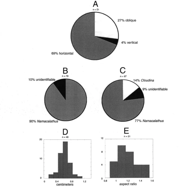 Figure  1-12:  Statistics  on  the  orientation,  diversity,  and  geometry  of calcified  fossils  in  the  Nama  Group, from  two  samples