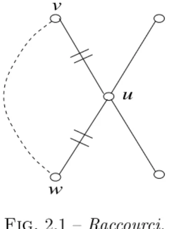 Fig. 2.1 { Raccourci.