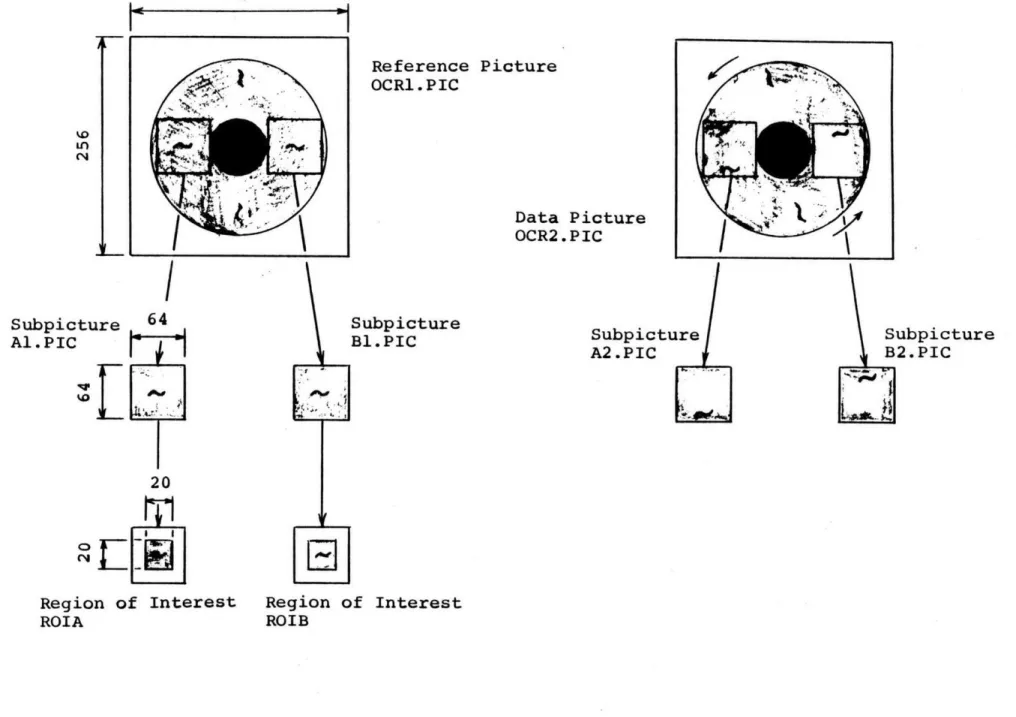 Fig.  2.3.1  Subpictures  and  Region  of  Interest