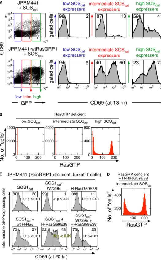 Figure 3. A RasGTP Mimetic Restores Efficient SOS cat -Induced Bimodal Signals in RasGRP-Deficient Cells