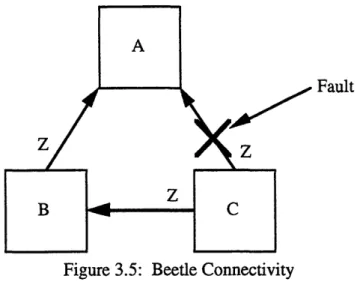 Figure 3.5:  Beetle Connectivity
