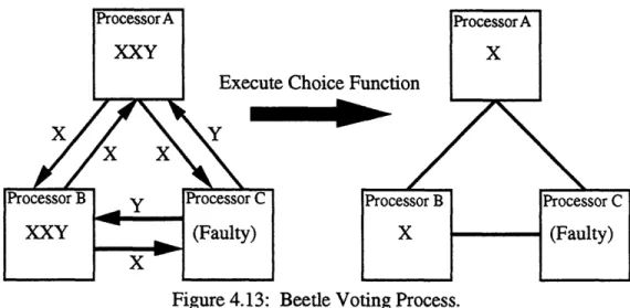Figure 4.13:  Beetle Voting Process.